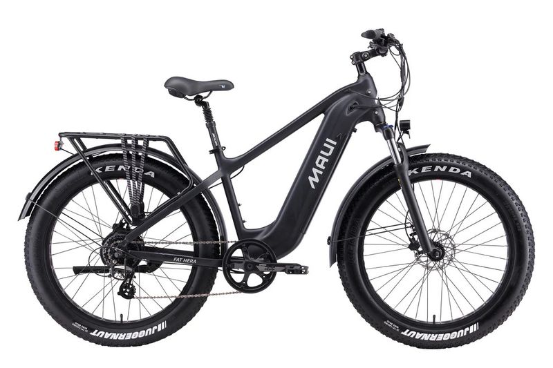 Electric Fat Bike Hera 500W