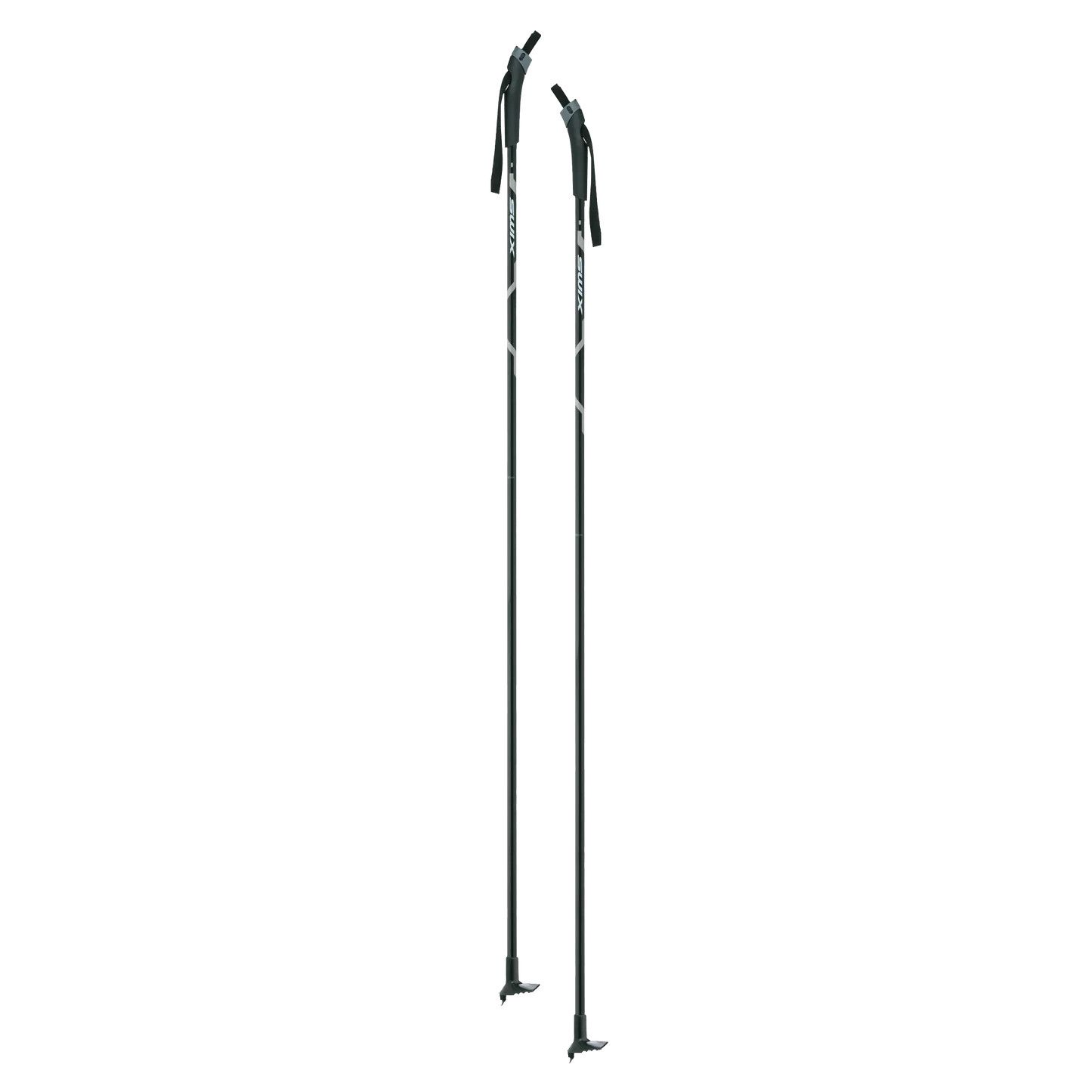Focus Nordic Pole
