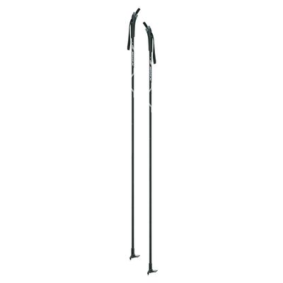 Focus Nordic Pole
