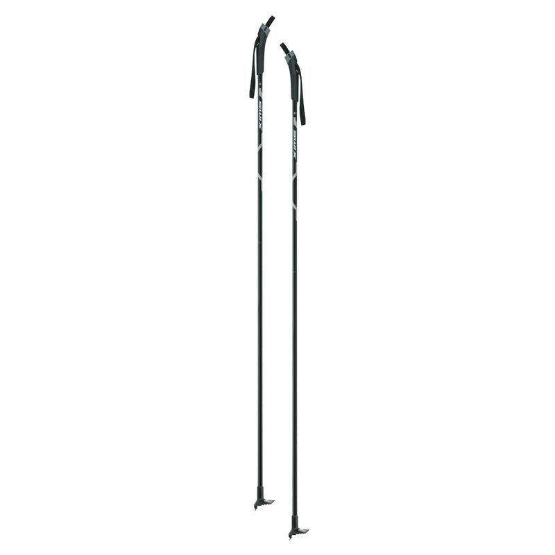 Focus Nordic Pole