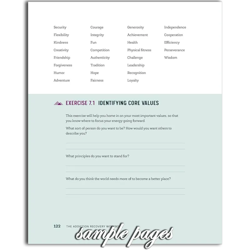 Workbook - The Addiction Recovery Workbook: Powerful Skills