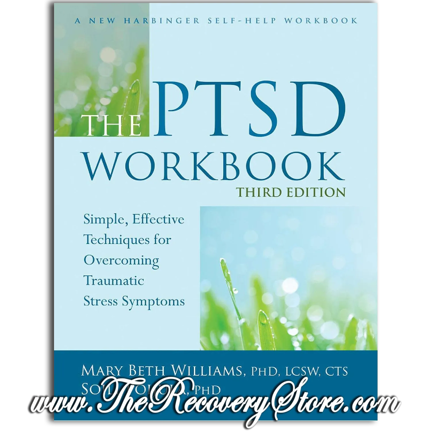Workbook - The PTSD Workbook - Simple, Effective Techniques