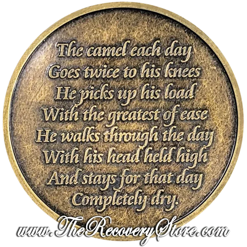 Bronze Affirmation Medallion - Camel 24 - One Day At A Time
