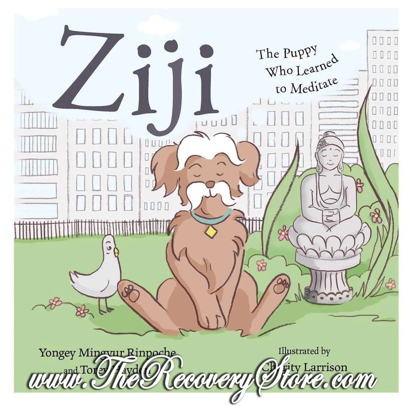 Ziji - The Puppy Who Learned To Meditate