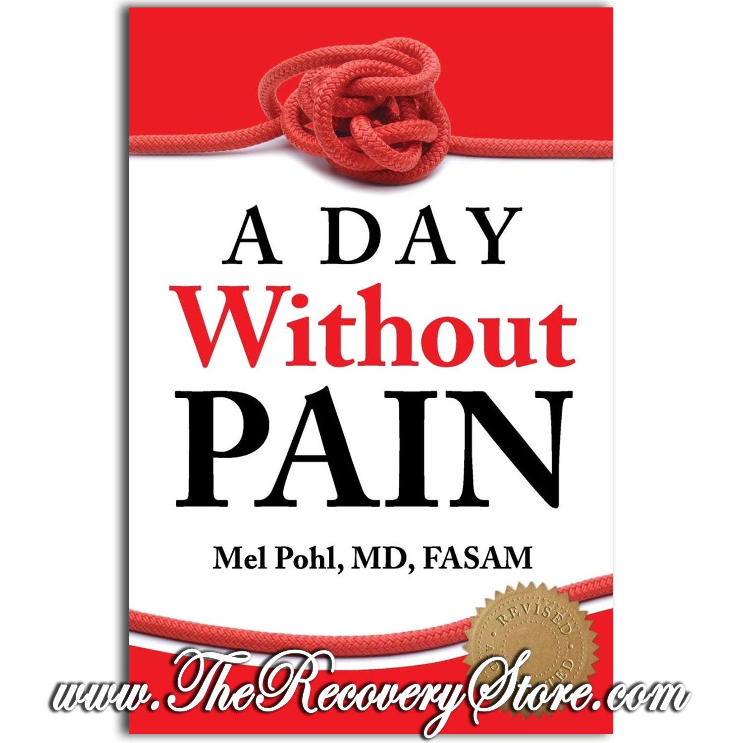 A Day Without Pain