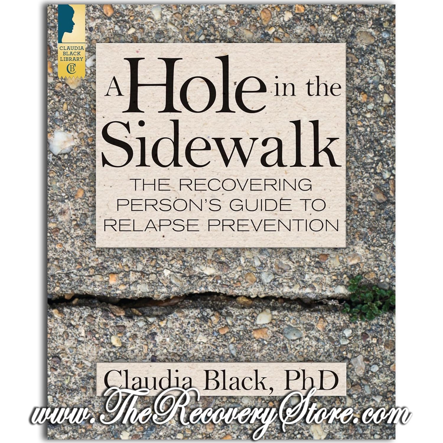 A Hole in the Sidewalk