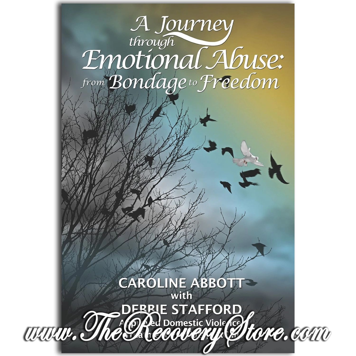 A Journey Through Emotional Abuse: From Bondage to Freedom