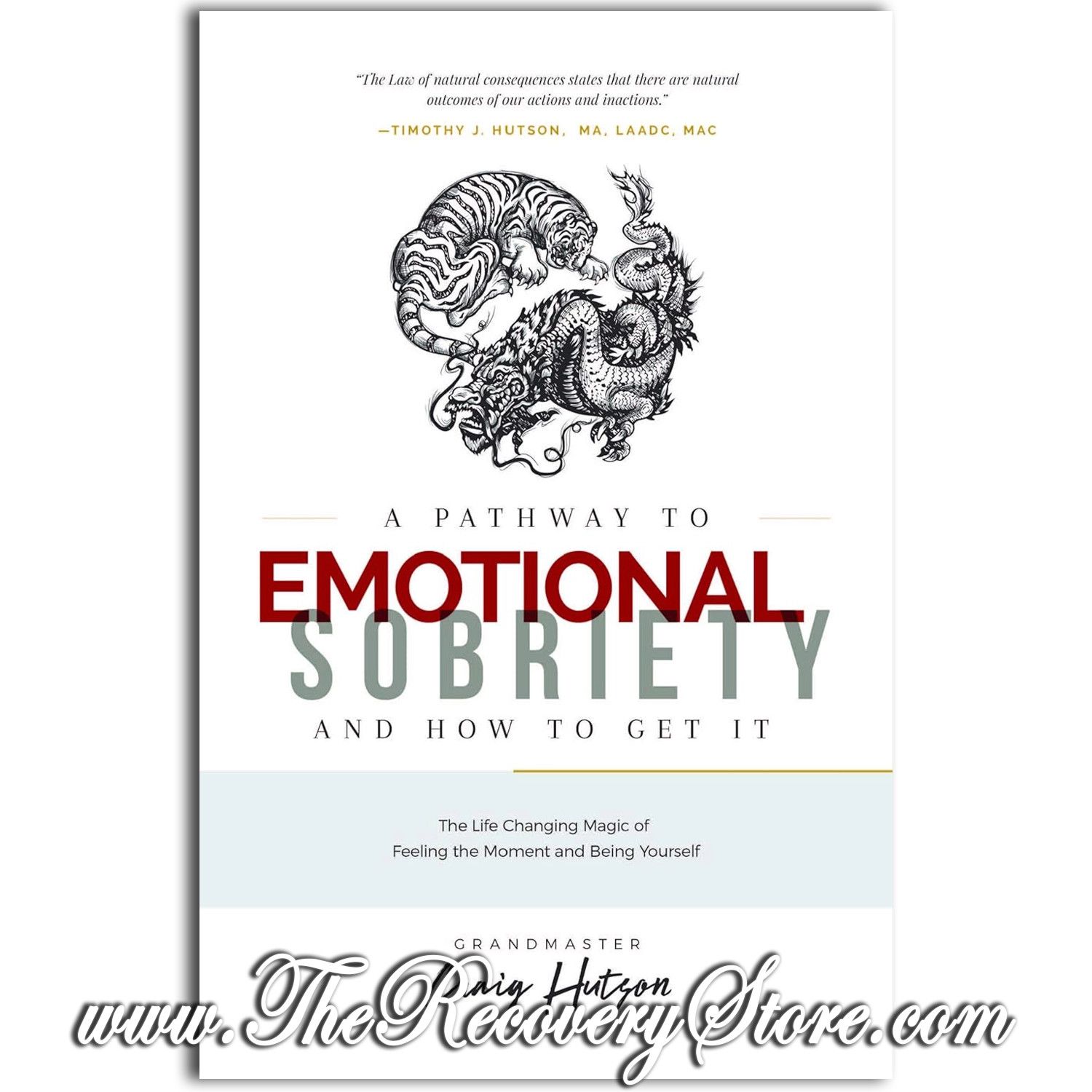 A Pathway to Emotional Sobriety and How to Get It