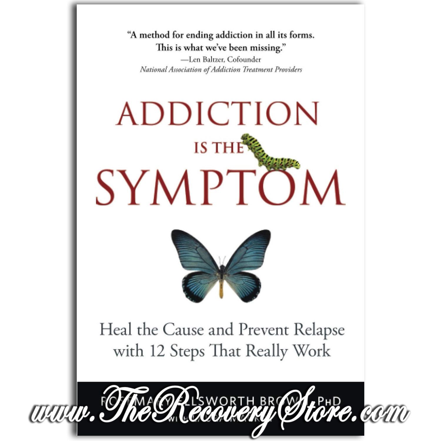 Addiction Is the Symptom: Heal the Cause and Prevent Relapse with 12 Steps That Really Work