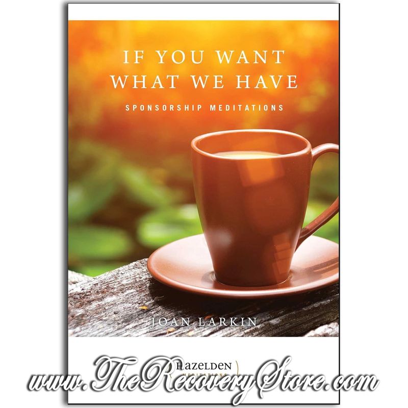 Meditation Book - If You Want What We Have
