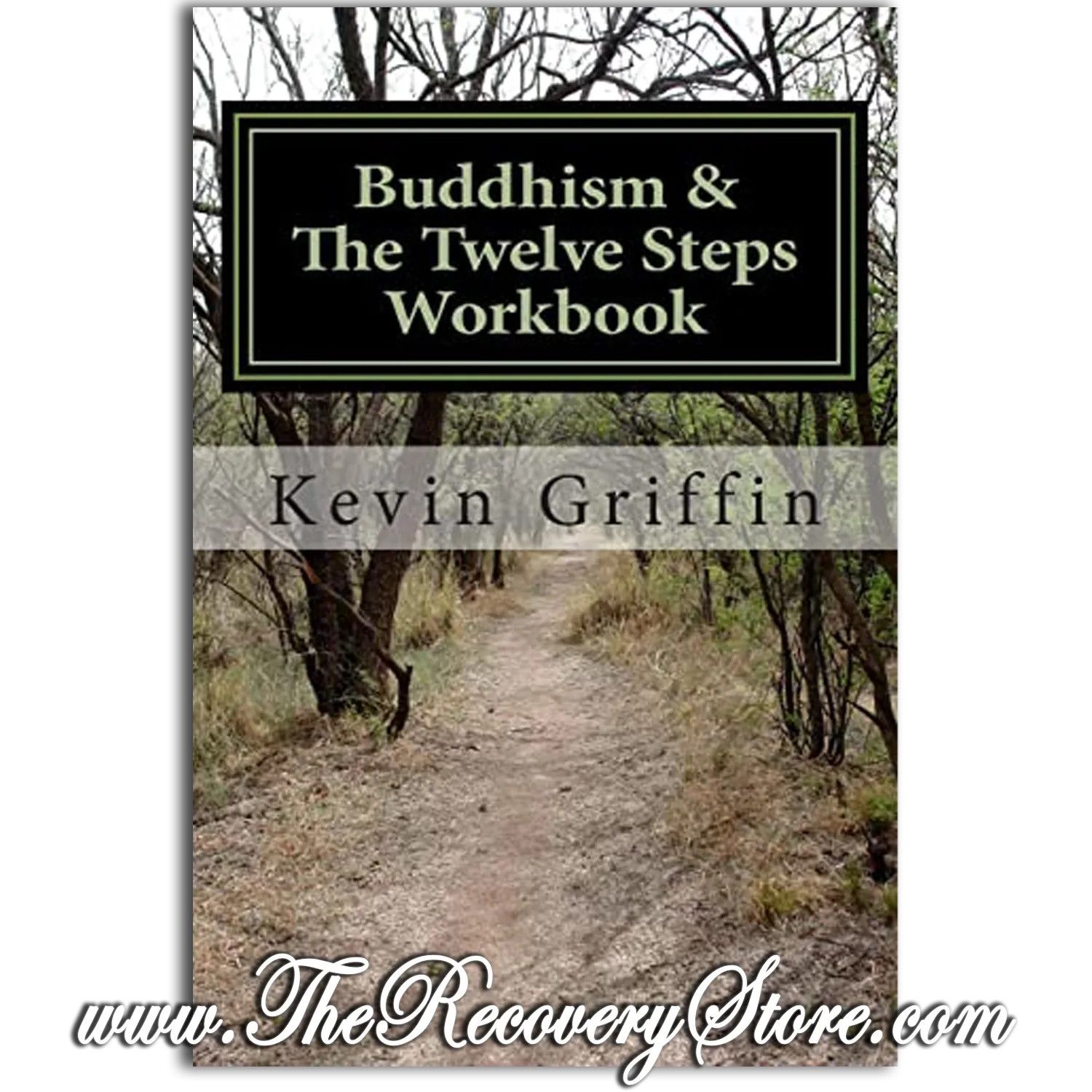Workbook - Buddhism and the Twelve Steps