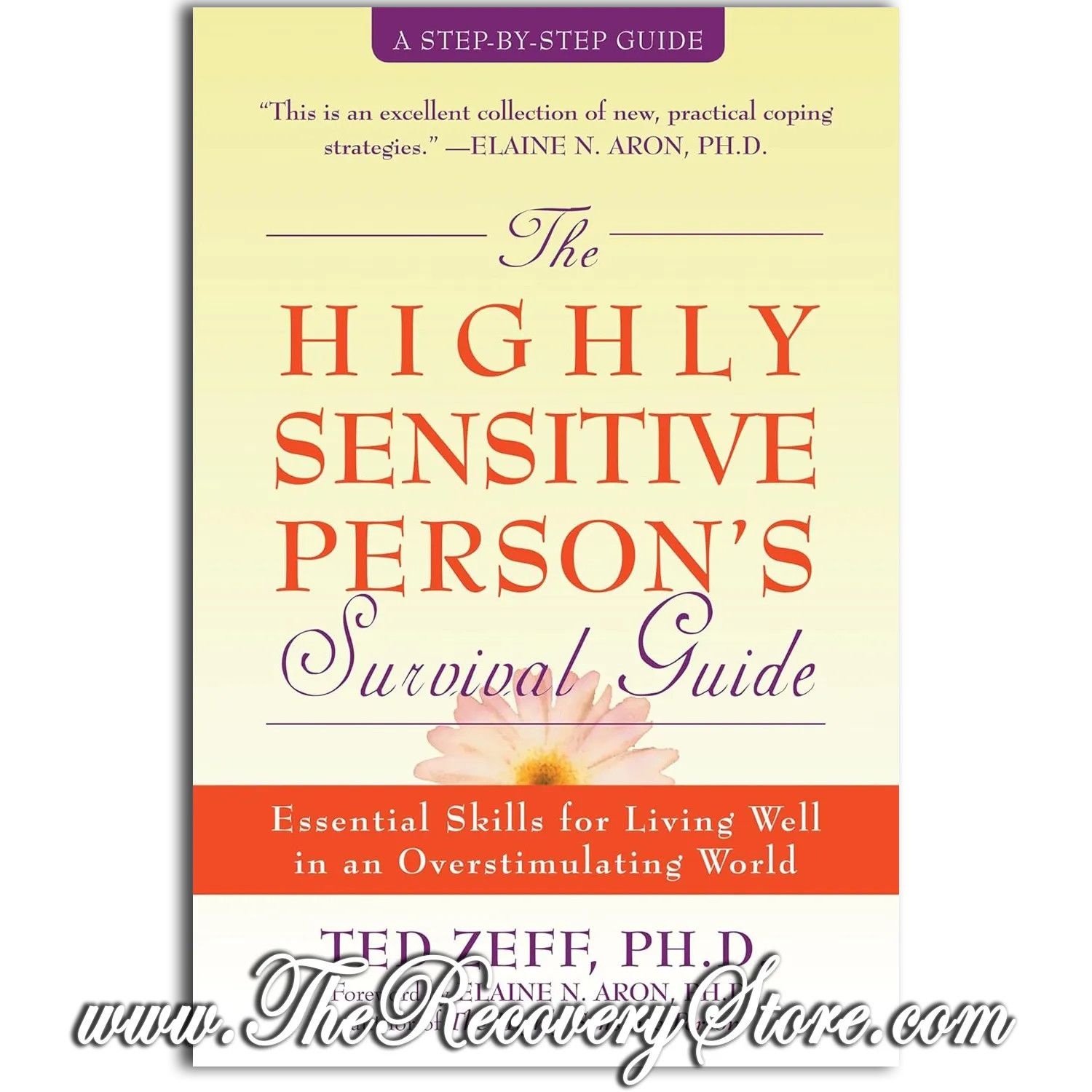 Workbook - The Highly Sensitive Person&#39;s Survival Guide
