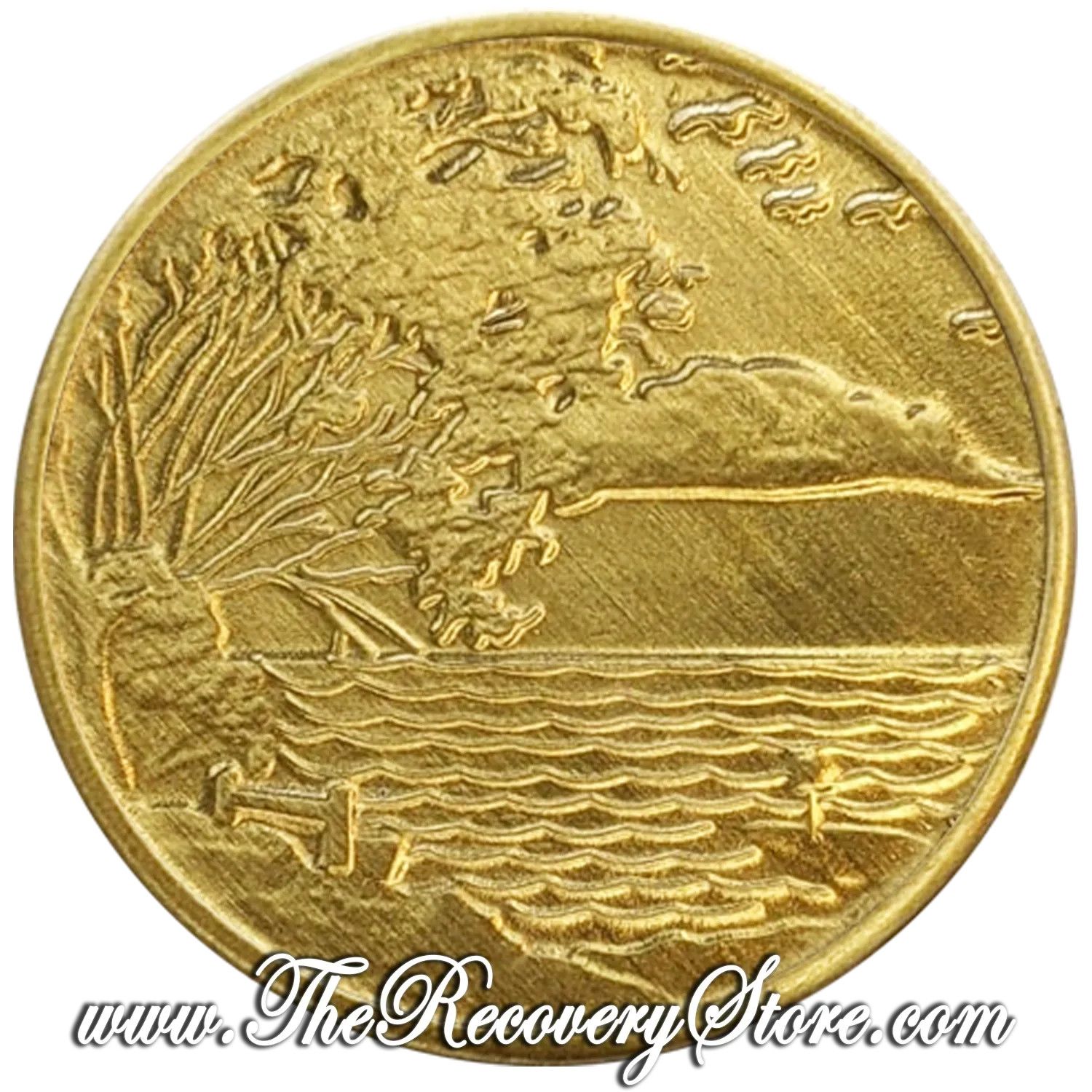 Bronze Affirmation Medallion - Serenity Isn&#39;t Freedom From The Storm - It&#39;s The Peace Within The Storm