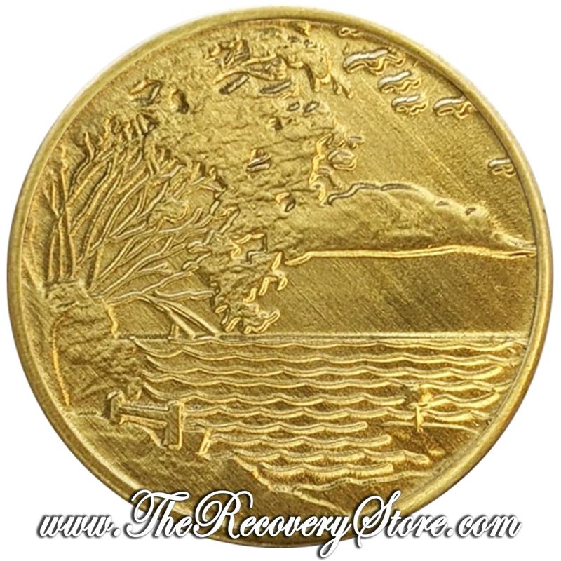 Bronze Affirmation Medallion - Serenity Isn&#39;t Freedom From The Storm - It&#39;s The Peace Within The Storm