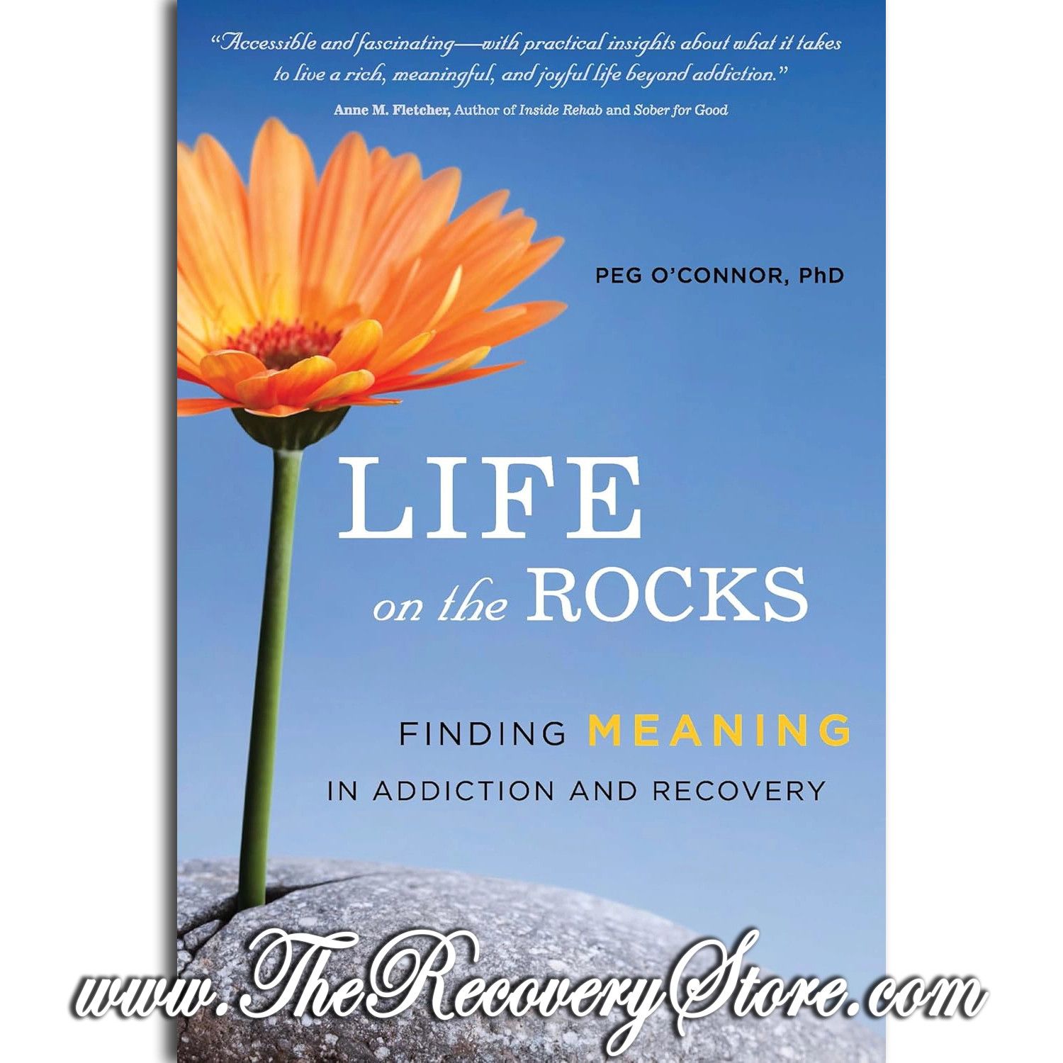 Life on the Rocks
