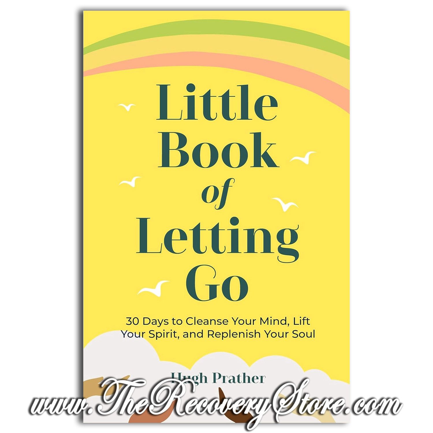 Little Book of Letting Go