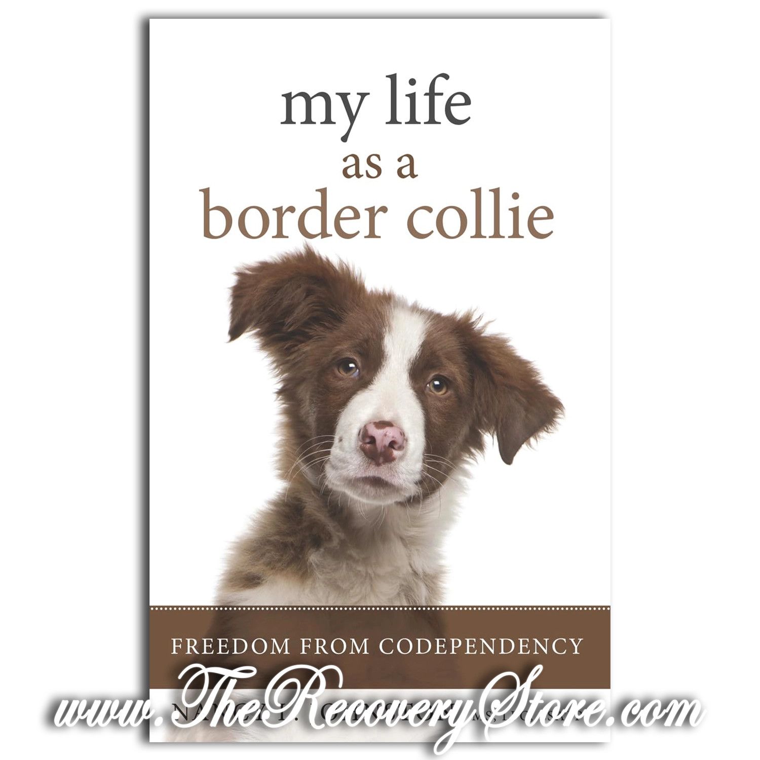 My Life as A Border Collie