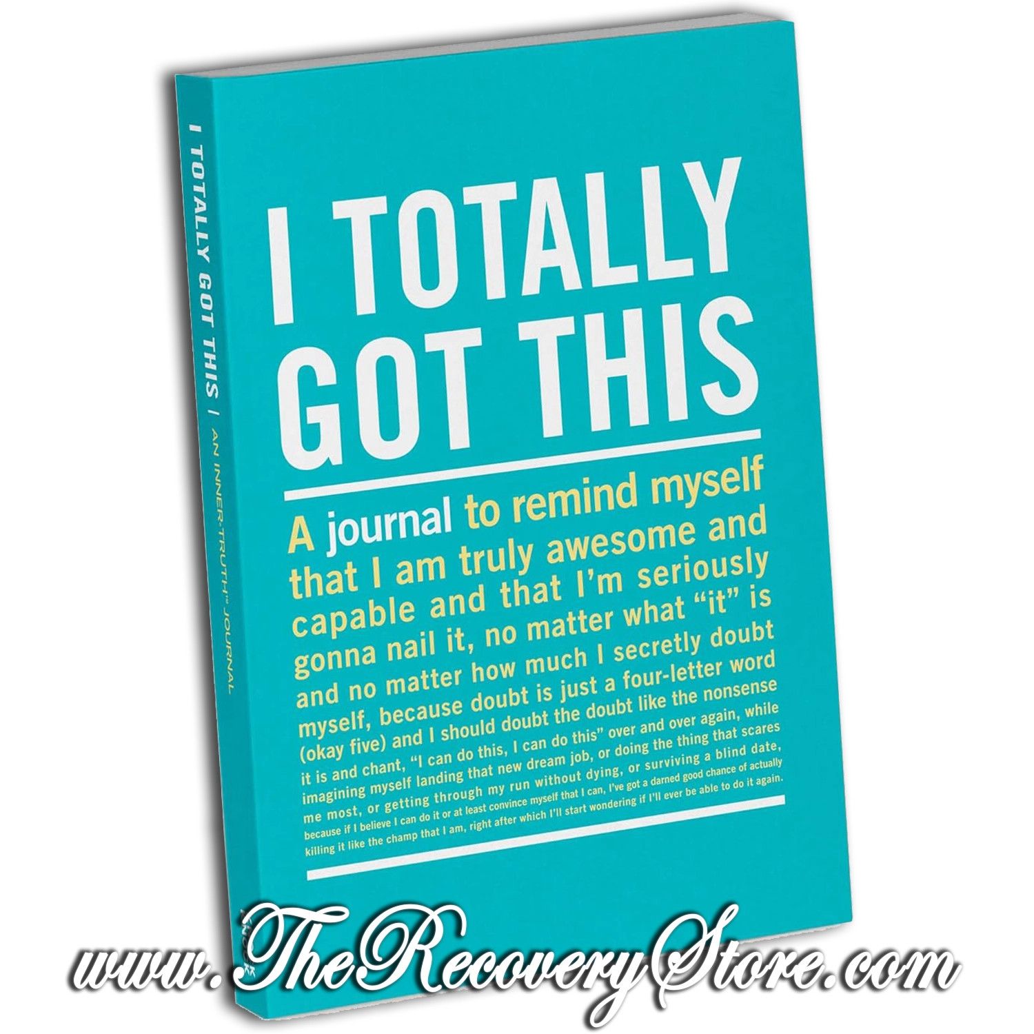 Journal - I Totally Got This Mini Inner-Truth