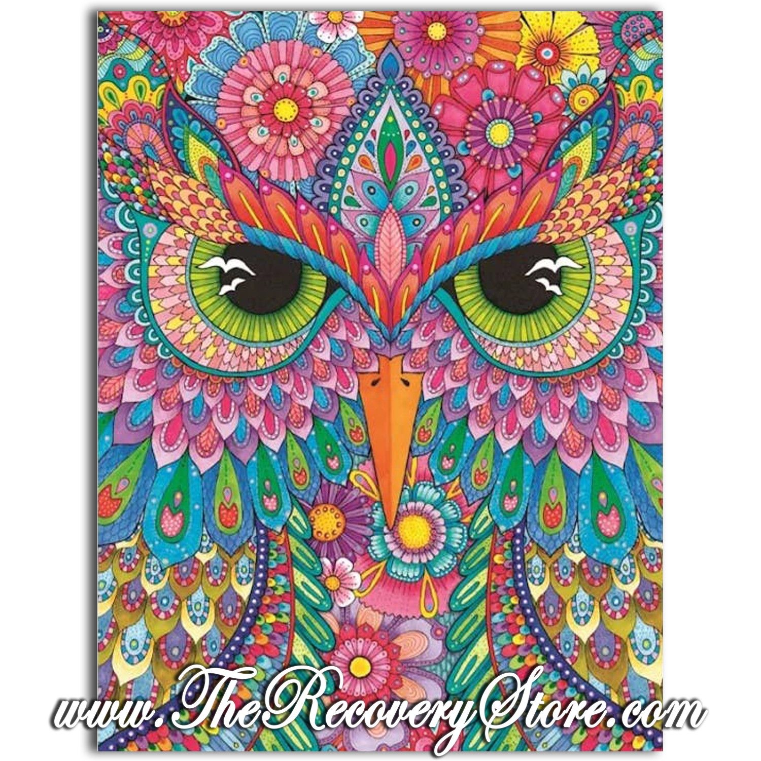 Journal - Owl