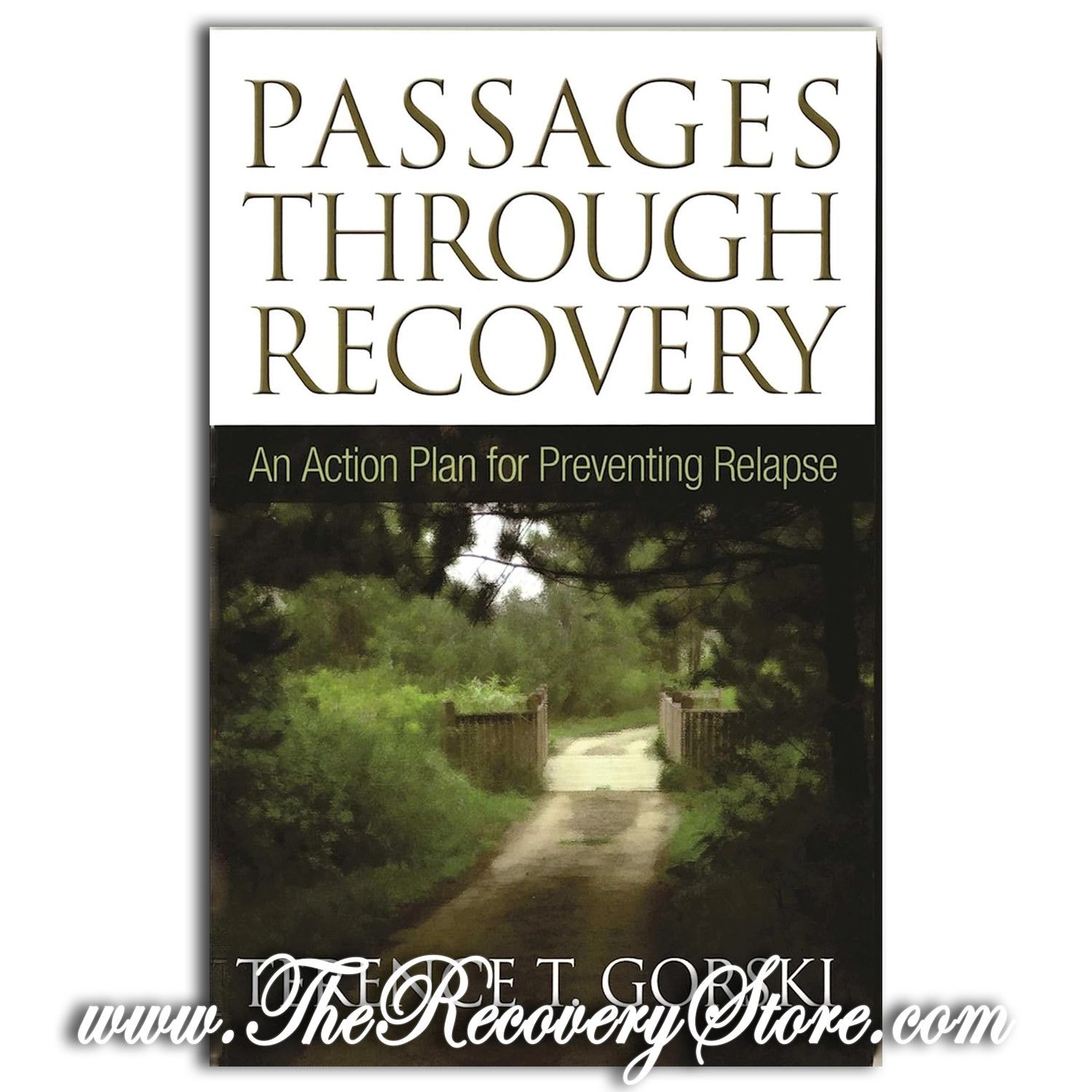 Passages Through Recovery