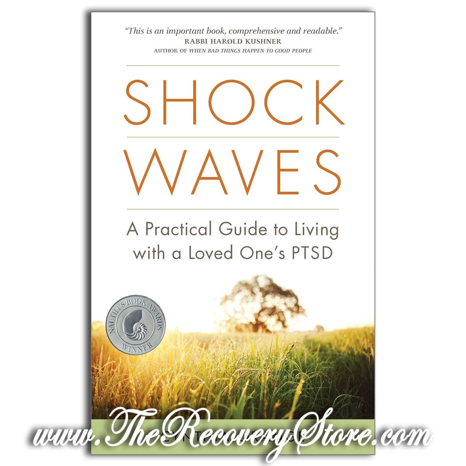 Shock Waves