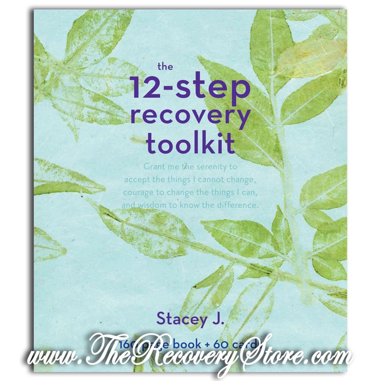 The 12-Step Recovery Toolkit
