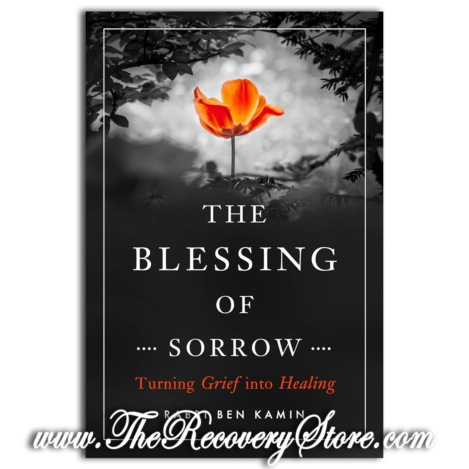The Blessing of Sorrow