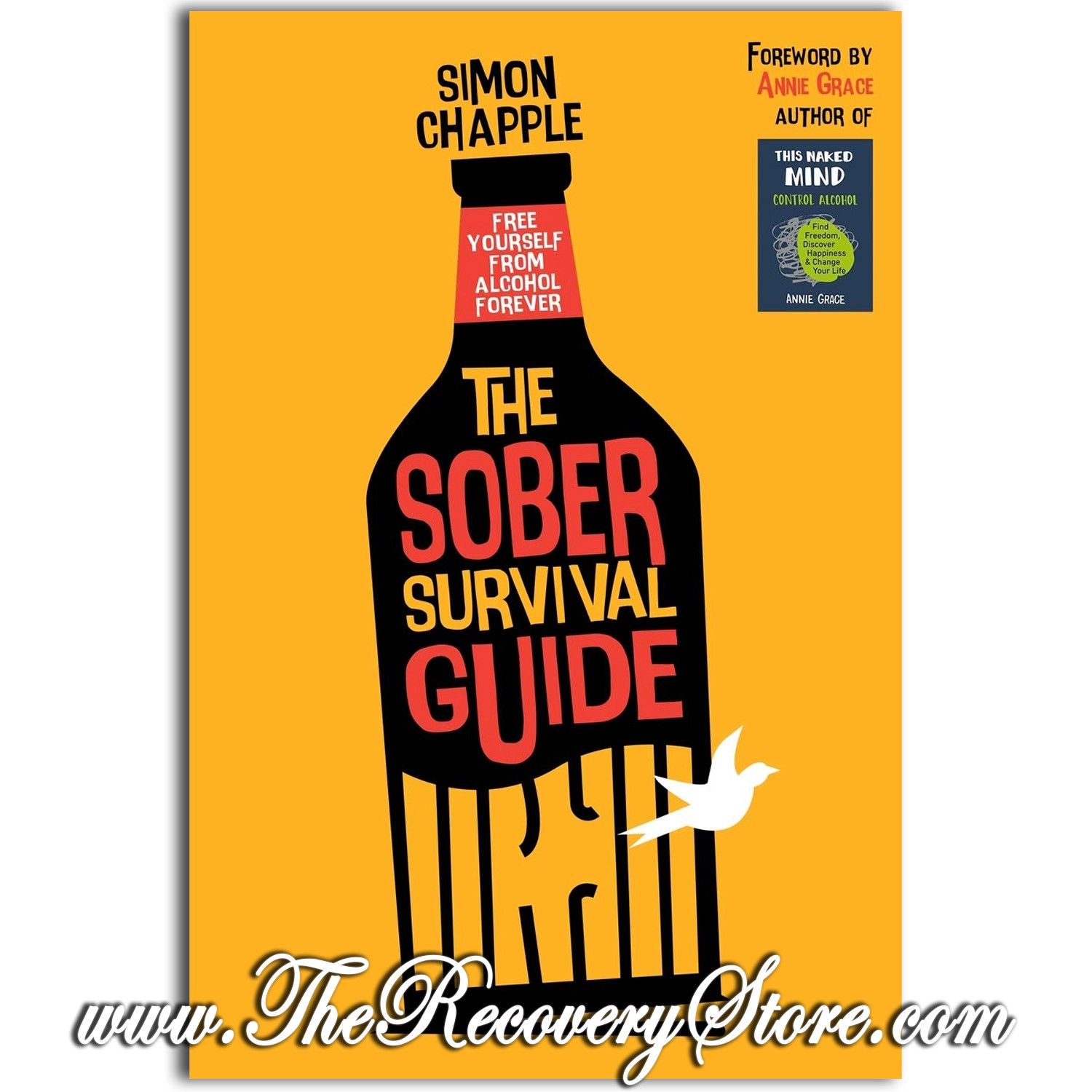The Sober Survival Guide