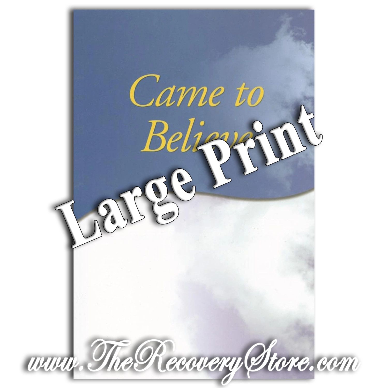 Came to Believe - Large Print
