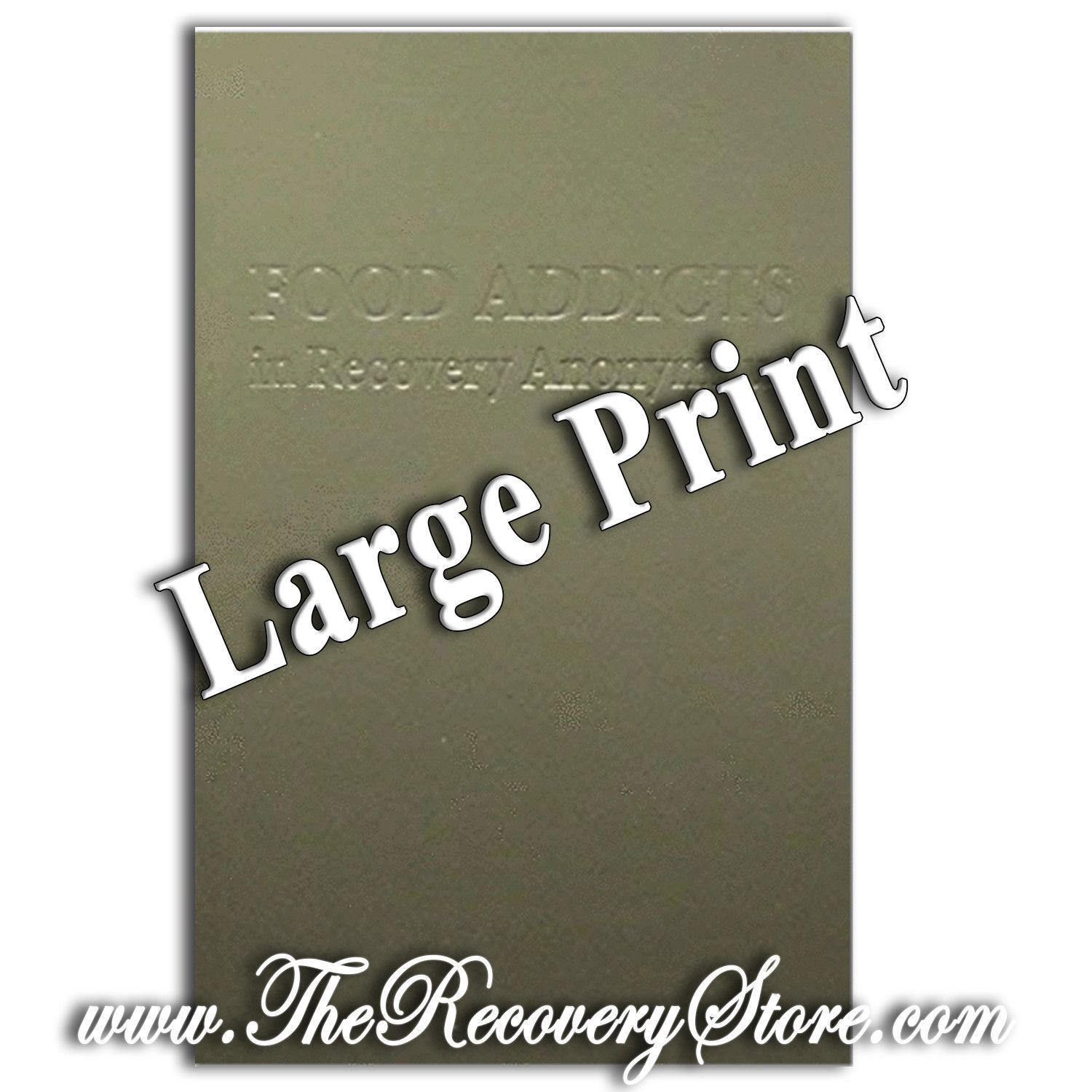 Food Addicts Anonymous - Large Print