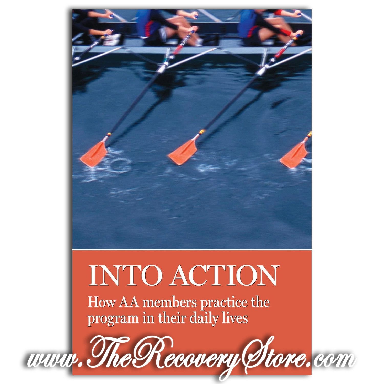 Into Action: How AA Members Practice