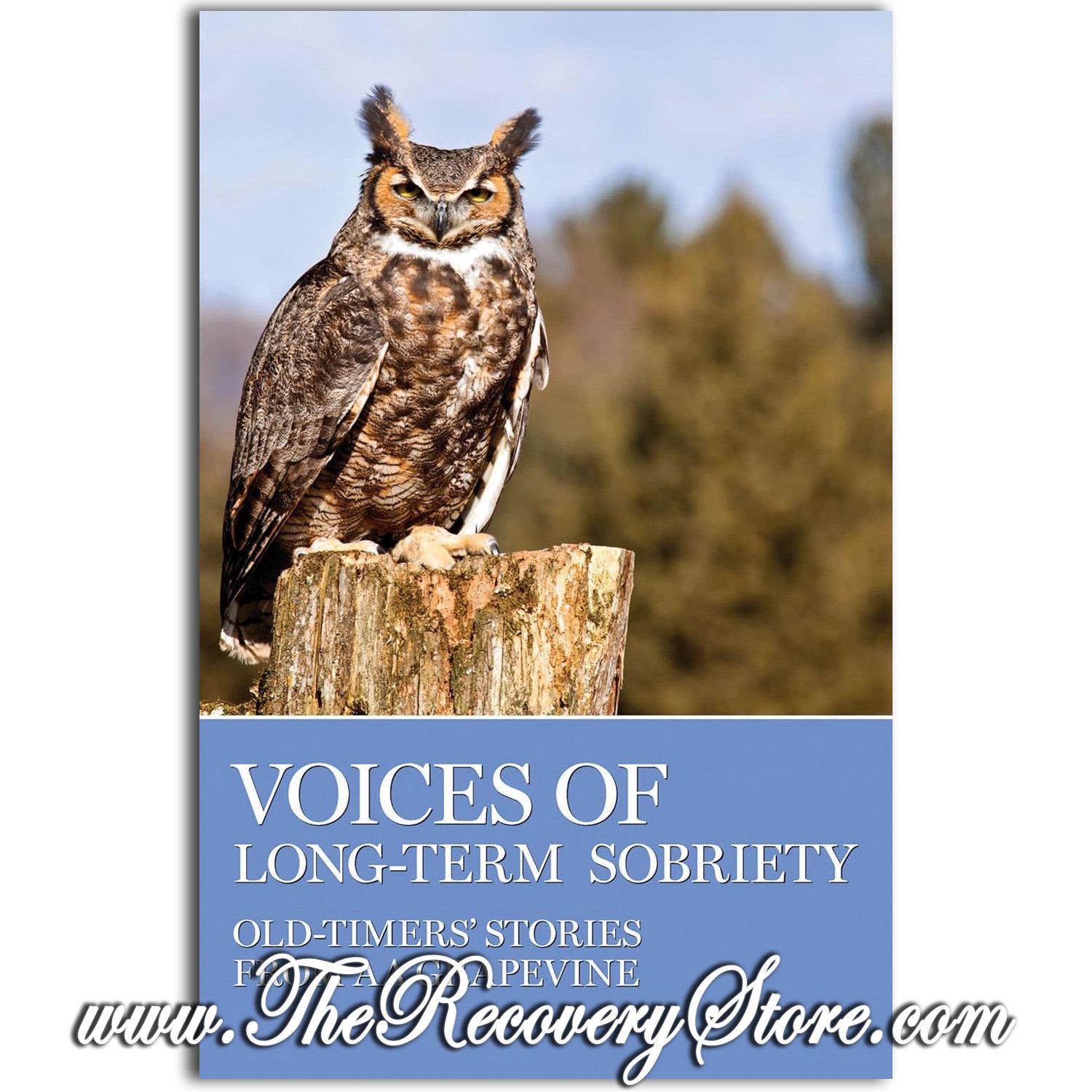 Voices of Long-Term Sobriety