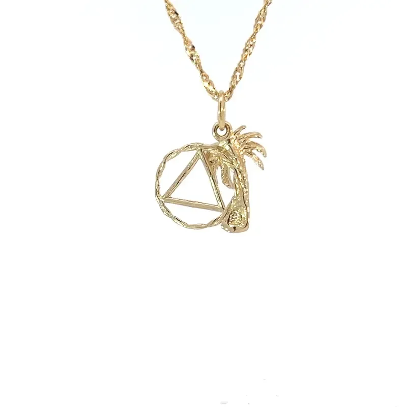 *14k Gold Palm Tree with AA Symbol in Twist Wire Circle Pendant