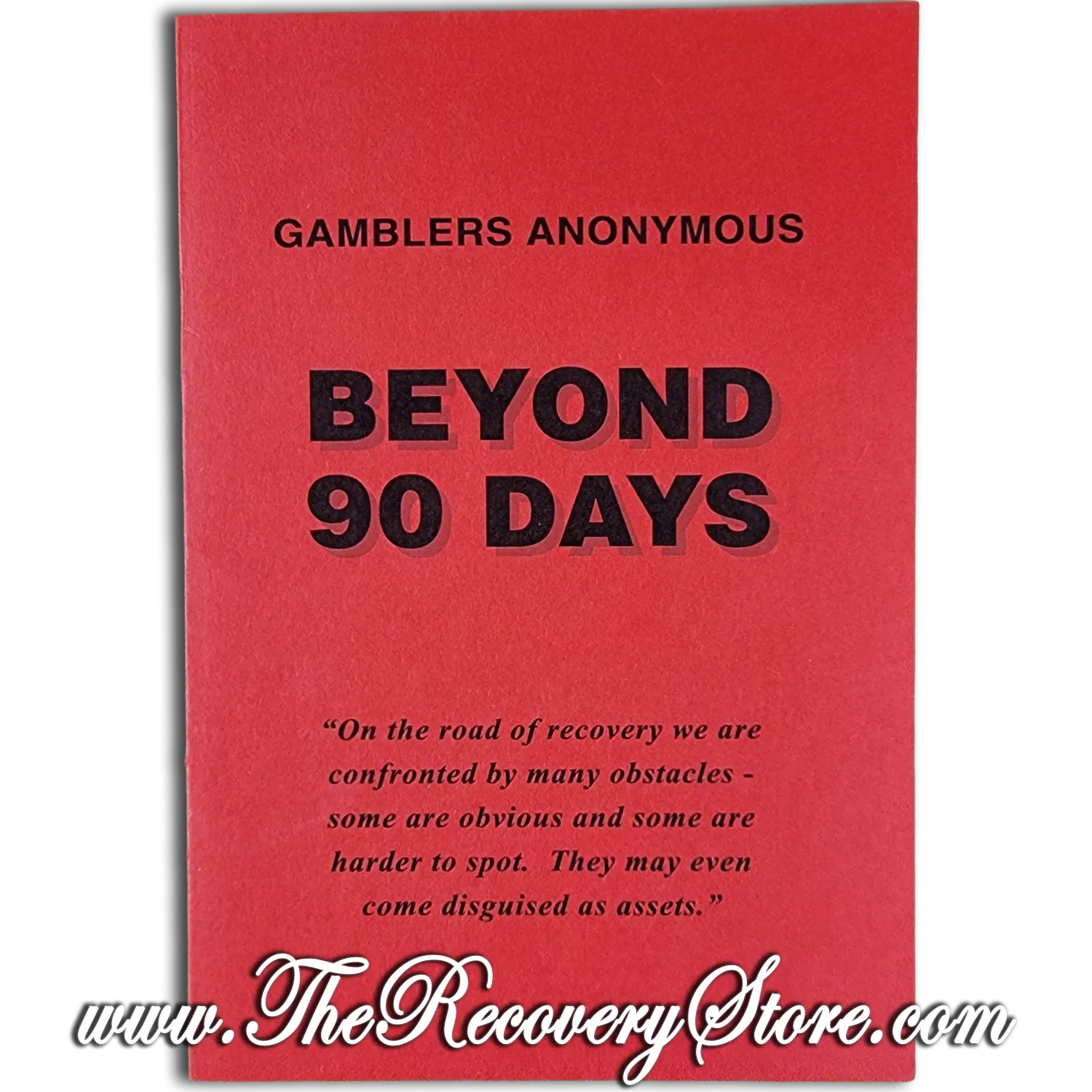 Booklet - Beyond 90 Days
