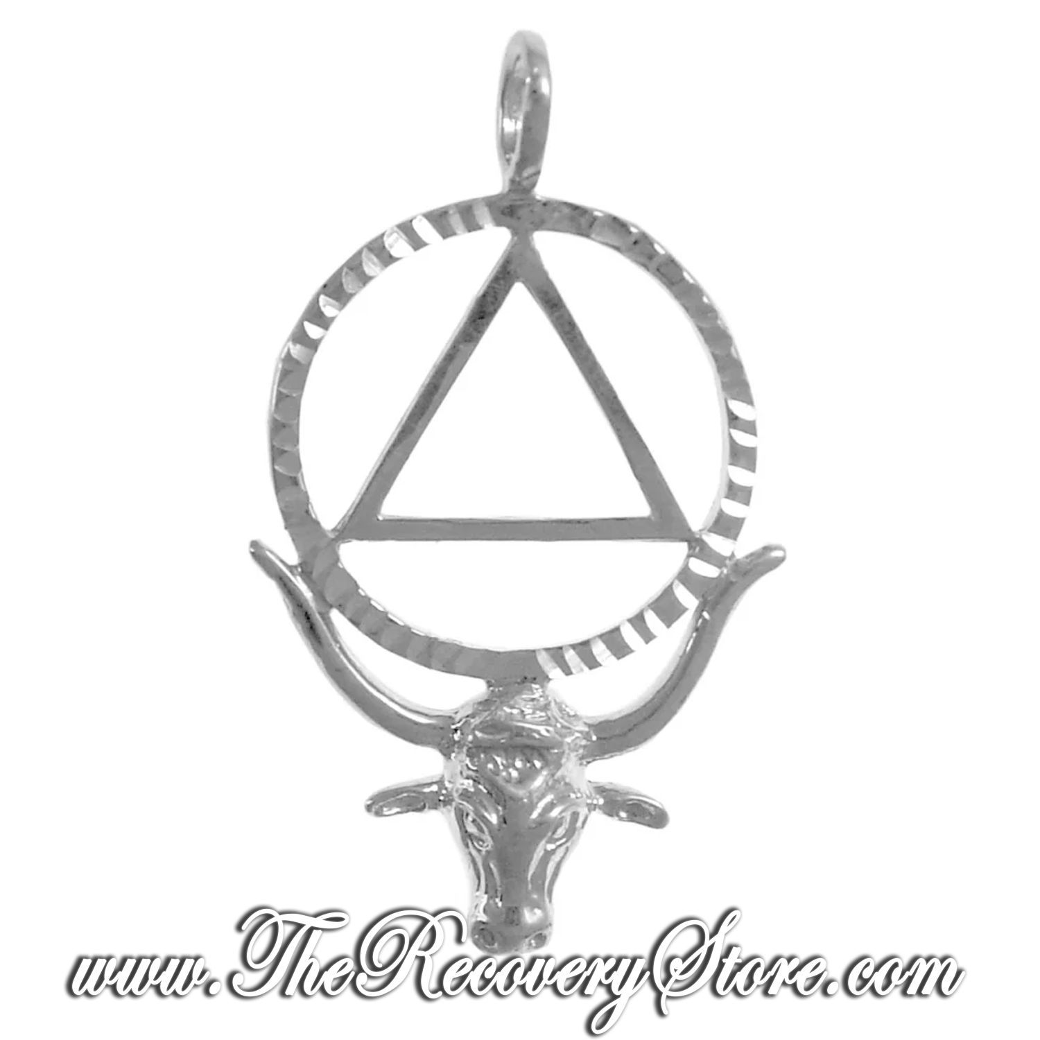 Sterling Silver Longhorn with AA Symbol in a Diamond Cut Circle