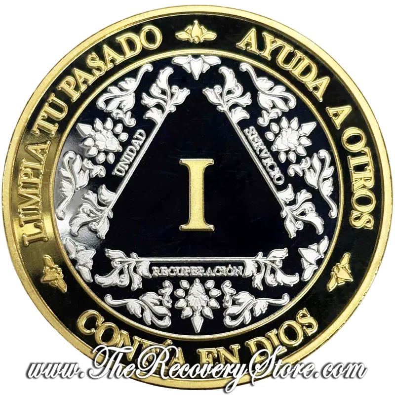 Large Medallion -  Spanish AA Silver &amp; Gold