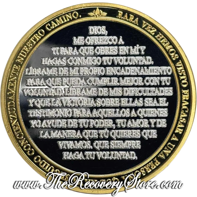 Large Medallion -  Spanish AA Silver &amp; Gold