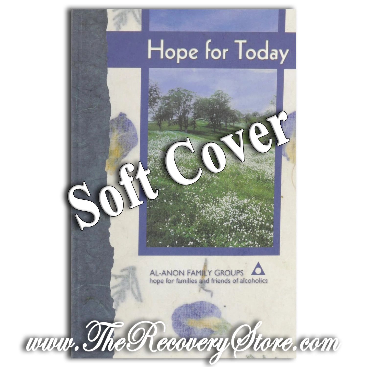 Hope for Today, Version: Large Print Softcover