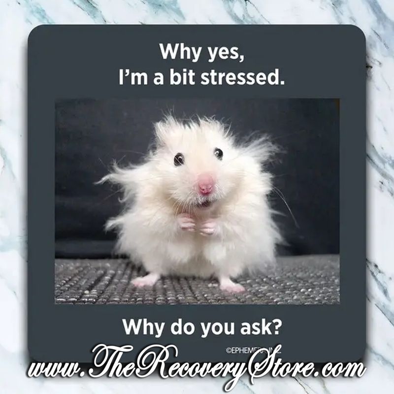 Funny Coaster - Why Yes, I&#39;m A Bit Stressed