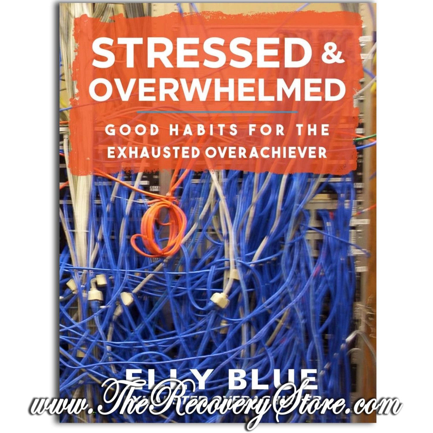 Pamphlet - Stressed &amp; Overwhelmed: Good Habits For the Exhausted