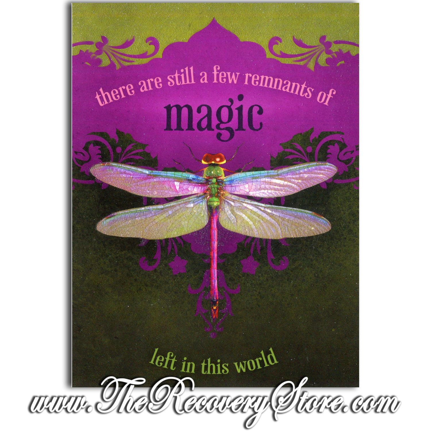 Greeting Card - Dragonfly on Green Maroon Black