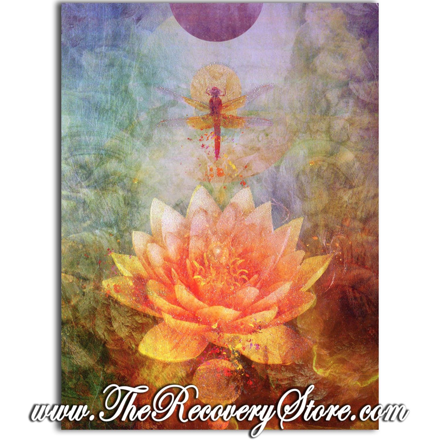Greeting Card - Lotus Flower &amp; Dragonfly