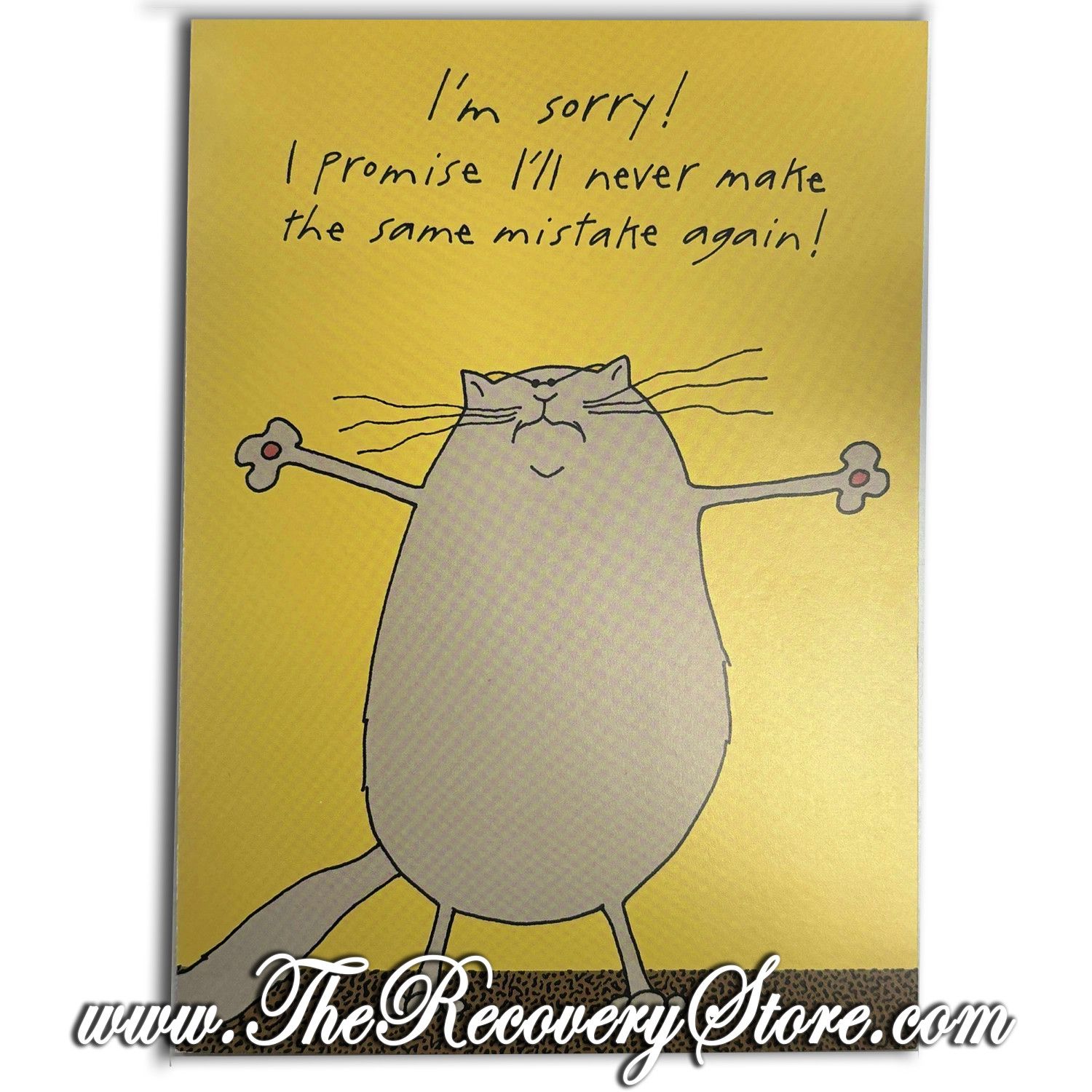 Greeting Card - Cat Forgive Me Mistakes