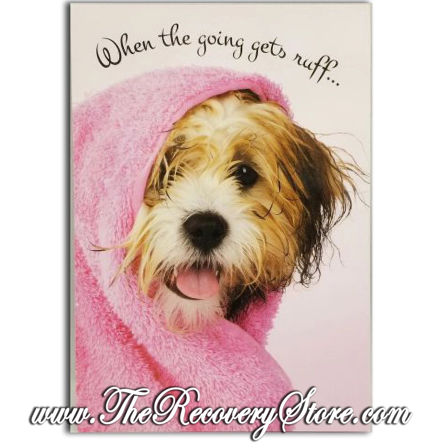 Greeting Card - Wet Dog in Pink Towel