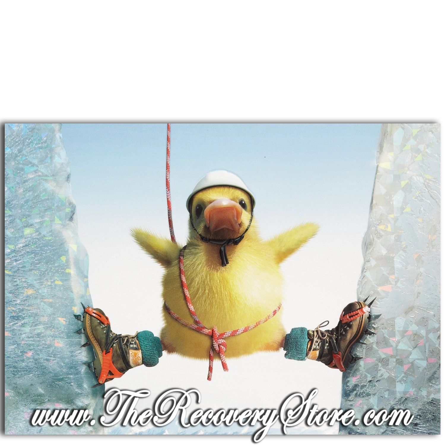 Greeting Card - You&#39;ve Got This Duck