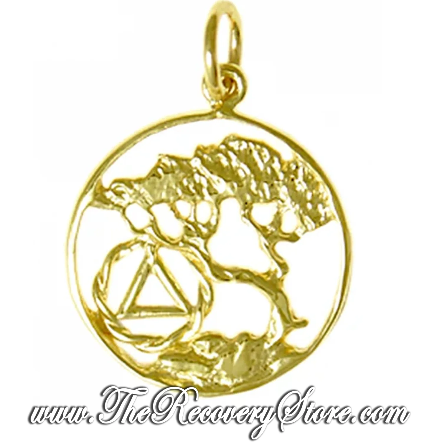 14k Gold AA Recovery Symbol with a Beautiful Tree of Life Pendant