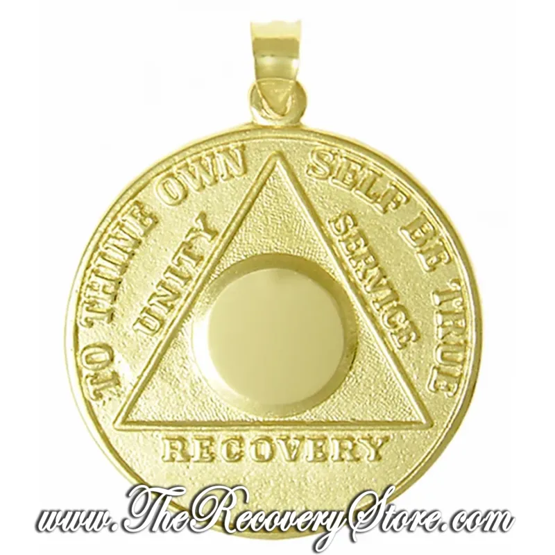 AA 14k Gold  Large Recovery Medallion Pendant