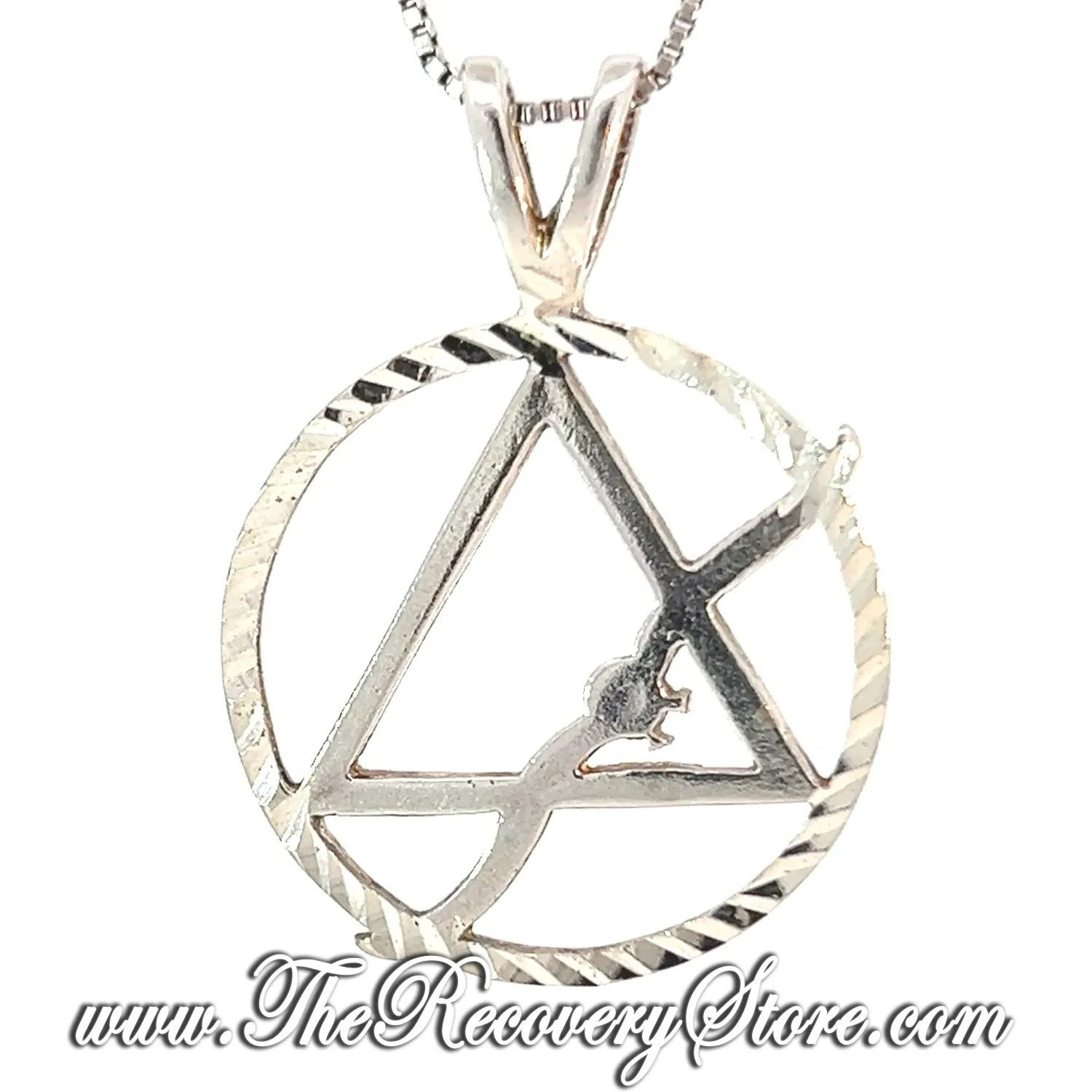 Sterling Silver AA Symbol with Flying Seagull in a Diamond Cut Circle, Large Size Pendant