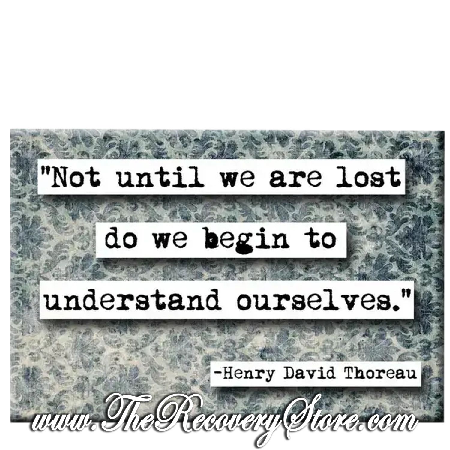 Magnet -  Not Until We Are Lost Do We Begin