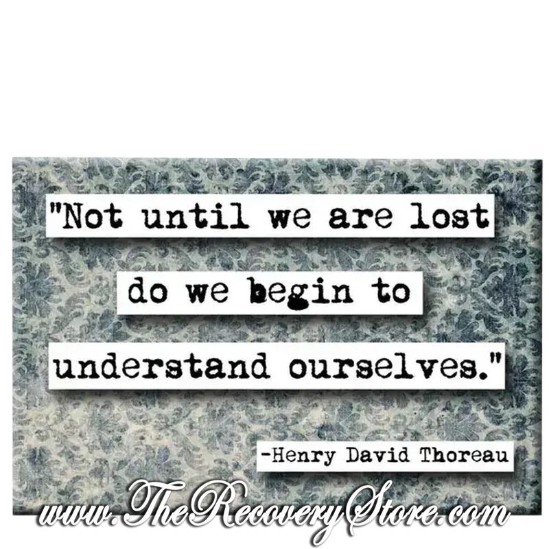 Magnet -  Not Until We Are Lost Do We Begin